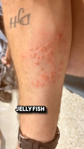 [EXPIRY JUN 2027] Safe Sea Coral Safe Sun Screen Sun Block SPF 95 Anti Jellyfish Protection Reef Friendly Coral Friendly Seanergy Scuba