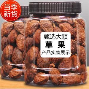 Gia Vị Trái Cây 500g