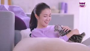 WHISKAS Pouch Cat Food Adult 80gmx 14 Cat Wet Food (14 pack)