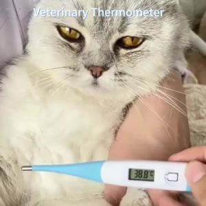 Nhiệt Kế Lâm Sàng Kỹ Thuật Số Cho Thú Cưng Và Gia Cầm Với Đầu Dò Mềm Mại Có Thể Tái Sử Dụng Chức Năng Báo Động Y Tế Thú Y Cảnh Báo Sốt