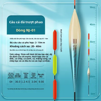 CHUANZE | Phao Câu Cá Hiển Thị Rõ Ràng Độ Nhạy Cao