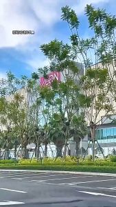 🥑Nico.33🥑 น้ำยาทําความสะอาดฟิล์ม  น้ำยาเคลือบกระจกรถยนต์ น้ำฝนไม่เกาะติดน้ำยาเคลือบกระจก พร้อมส่ง