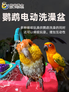 For Birds Miracle Baby Sponge Pot Xuanfeng Peony Small Parrot Tiger Skin Supplies Automatic Loop Water Bath Box Toy Utensils