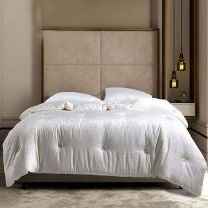 Soybean Protein Fiber Quilt Antibacterial Four Seasons Thick and Warm 2-in-1