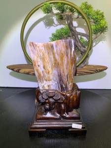 TSK Crystal SHY042 天然树化玉 黄里透白 色泽圆润 特制雕刻实木底座 Natural Tree Fossil Jade