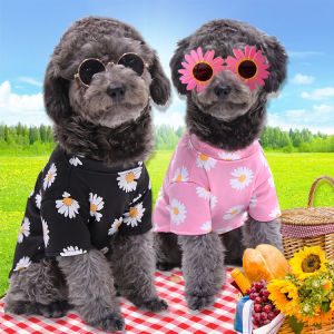 Lightweight Summer Outing Dog Clothes Teddy Bichon Pomeranian Corgi French Bulldog Small Medium Dogs Pet Clothes