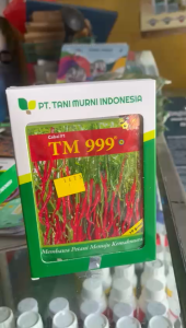 Benih cabai keriting TM999 F1 10 GRAM