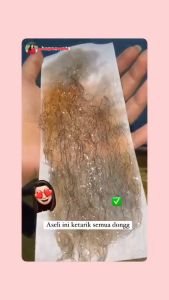 Waxlab Sugar Wax Original New Formula BPOM