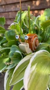 [BrickStory] LEGO Ideas Friendly Snails (40788)(264 Pieces)