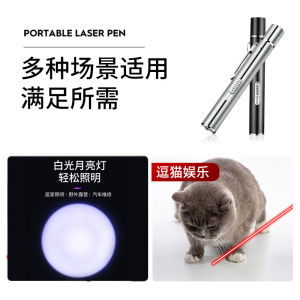 Penunjuk Laser Bisnis 3in1: Mainan Interaktif Pena Pointer Senter USB Rechargeable