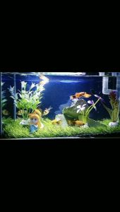 Karpet Rumput Sintetis Buat Aquarium 30x20 Lembut
