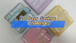 30 Days a month to save money loose leaf money saving book challenge cash envelope saving book Leather PVC Envelopes Savings Challenges Sheets