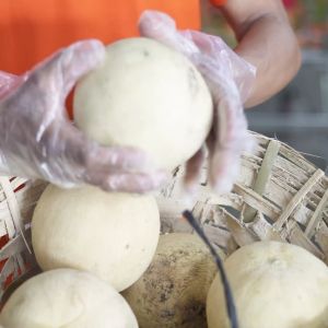 SukiGrocer Upo 1 piece