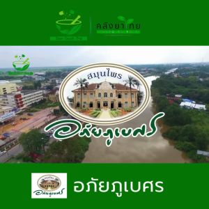 [แพ็ค 10 ขวด] อภัยภูเบศร ยาแคปซูลขมิ้นชัน ตราอภัยภูเบศร 400 มก. 60 แคปซูล/ขวด ของ [ผลิตภัณฑ์สมุนไพรขายทั่วไป]"}