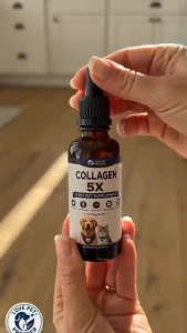 Collagen 5X Pet Supplement 60mL for Dogs & Cats 5-in-1 Daily Support Skin Coat Joint Wellness Care