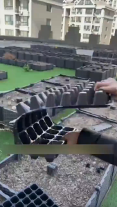 【Local Warehouse】10PCS Seedling Trays 50105/128/200 Holes for Seed Germination Garden Starter Tray Strength Seed Germination Plant Pot Seedling Tray Holes Garden Starter Trays Strength Seed Germination Plant Flower Pot