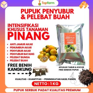 Pupuk Pinang Agar Cepat Berbuah / Pupuk Untuk Tanaman Pinang / Pupuk Pinang Pelebat Buah / Pupuk Pembesar Buah Pinang