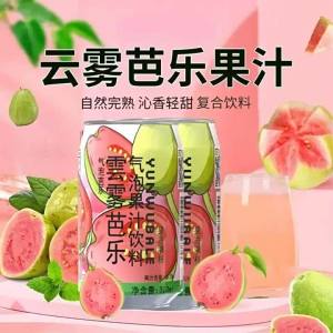 Special Bubble Pomegranate Juice Beverage
