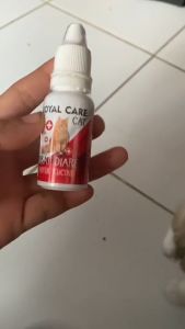 Royal Care Obat Diare dan Mencret Hewan Peliharaan Kucing dan Anjing