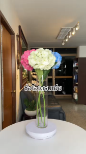 ดอกไฮเดรนเยียปลอม ดอกใหญ่ก้านยาว Artificial Hydrangea stem