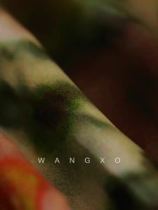 WANGXO | Áo Không Tay V-neck Nhiều Lớp Chất Len Mềm Mại