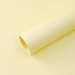 Papier Kraft Dày Bao Hoa Bó Hoa Giấy Gói Cảm Giác Cao Cấp Cửa Hàng Hoa Phù Hợp Với Mọi Màu Sắc Pure Color Series