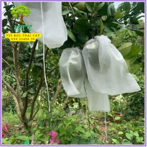 [ 35×40cm ] 100 Cái TÚI BAO BỌC DƯA LƯỚIBƯỞINHOCHÙM NHO TÚI BAO BỌC TRÁI CÂY