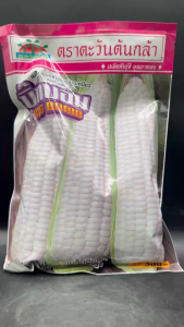 ข้าวโพด บิ๊กบอม หมดอายุ 11/2568 ขนาด 500 กรัม ตะวันต้นกล้า ฝักใหญ่ ทรงกระบอกสวย เมล็ดสีขาวนวล แกนฝักเล็ก เหนียวนุ่ม รสชาติดี ผลผลิตสูง npkplant