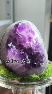 Uruguayan amethyst with natural outer skin featuring a rare green phantom surface.一颗很美的乌拉圭紫水晶原皮 稀有绿幽皮  和图内玻璃底座底座一起出 仿真水草