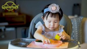 Quinton Coco Multifunction Baby High Chair