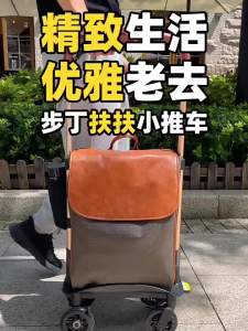 New Elderly Trolley Travel Trolley escopic and Portable Brake Rollator Armrest Luggage Lightweight