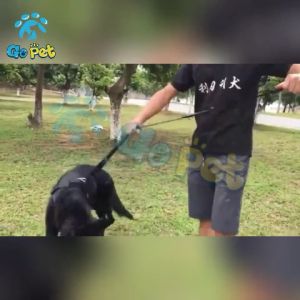 Durable Dog Leash Adjustable Nylon Military Buffer Design Dog Leash For Medium Large Dog German Shepherd Training