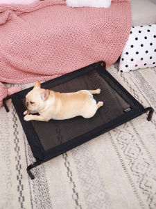 Pet Camp Bed Dog Bed Removable and Washable Mesh Breathable Dog Bed Pug Bullfighting Corgi/French Bulldog Breathable Cool Kennel