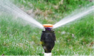 สปริงเกอร์น้ำ สปริงเกอร์4หุน360 สปริงเกอร์ สปริงเกอร์น้ำ360 สปริงเกอร์หมู360 สปริงเกอร์รดน้ำ สปริงเกอร์รดน้ำต้นไม้ สปริงเกอร์สนาม 40 หุน เกอร์เสริมตัว