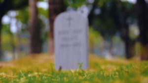 Chất tẩy rửa đa năng Comeast HEAD STONE Cleaner 250ml vệ sinh đá granit bê tông đá cẩm thạch bia mộ của Mỹ