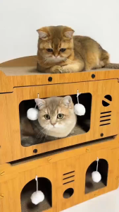 3 IN1 Cat Scratcher House Board Wooden Extra Large Cat Villa Wear-resistant Cat Bed Cat Sleeping