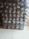 Distributorcelengankabah99
