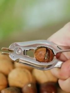 Pembuka Kerang Clam Opener Seafood Cracker Nut Cracker Practical Kitchen Opener Tools 开蛤器 开核桃坚果器