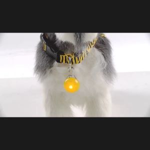 Đèn led chống đi lạc cho Chó Mèo hình mặt dây chuyền - Love Pets Shop