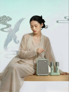 Divoom | Oriental Qingluan Integrated Karaoke Microphone Speaker Home KTV