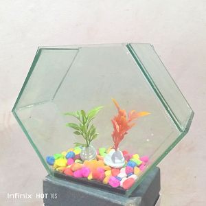 Aquarium ikan cupang unik Akuarium satu paket batu hias tanaman hias Soliter ikan cupang Aquarium unik Akuarium ikan hias kaca hexsagonal / Akuarium Paket komplit batu hias tanaman hias Aquarium