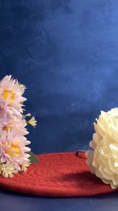 แผ่นปิดแผลอเนกประสงค์ แผ่นปิดแผล ผ้าปิดแผล พลาสเตอร์ปิดแผล พลาสเตอร์ แผ่นปิดแผลผ่าตัด แพคเกจพร้อมกล่อง