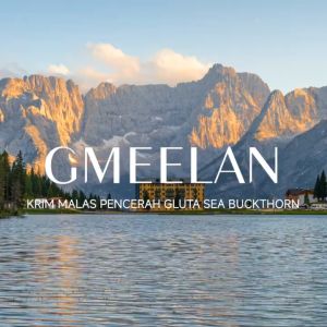 Paket GMEELAN 2 Pcs Kits Rose Arbutin Suncrean 30g + Krim Pemutih Lazy Cream 30g / NASA GROSIR