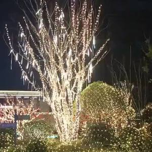 288LEDs Solar in Meteor Shower Rain Lights Outdoor Waterproof solar Icicle Lights for Home christmas