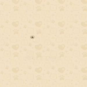 VISCO3 Olive Care Fish Oil For Cats Dogs (1 Botol = 50 Softgel) untuk Kucing Anjing