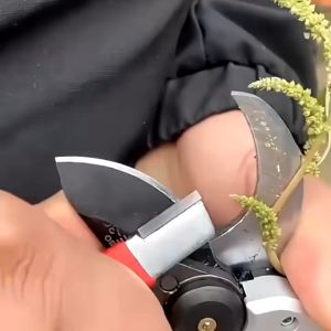 Dụng cụ làm vườn đáng tin cậy Đá mài thép hợp kim để sử dụng lâu dài