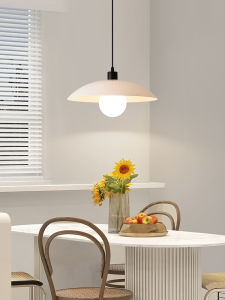 DGY | Danish Nordic Modern Simple Japanese Zen Chandiér