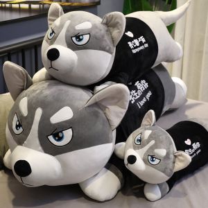 Chó Husky Nhồi Bông Mặt Ngáo Dễ Thương Đáng Yêu Siêu To Khổng Lồ 71cm 1m 1m2 1m5 - HADONGSHOP.VN