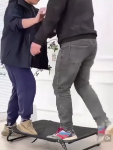 เปลสัตว์เลี้ยง โซฟาสุนัข ที่นอนสุนัข ที่นอนสัตว์เลี้ยง เตียงสุนัข ที่นอนสุนัข แบบยกสูง