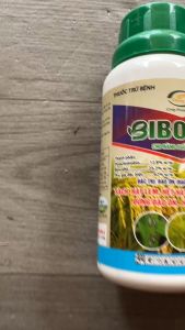 Bí Quyết Phòng Trừ Sương Mai Cà Chua Đốm Trái Cà Chua Đốm Lá Cà Chua Hiệu Quả – Combo BIBOS 380SC MIKCIDE CYFAMO 300